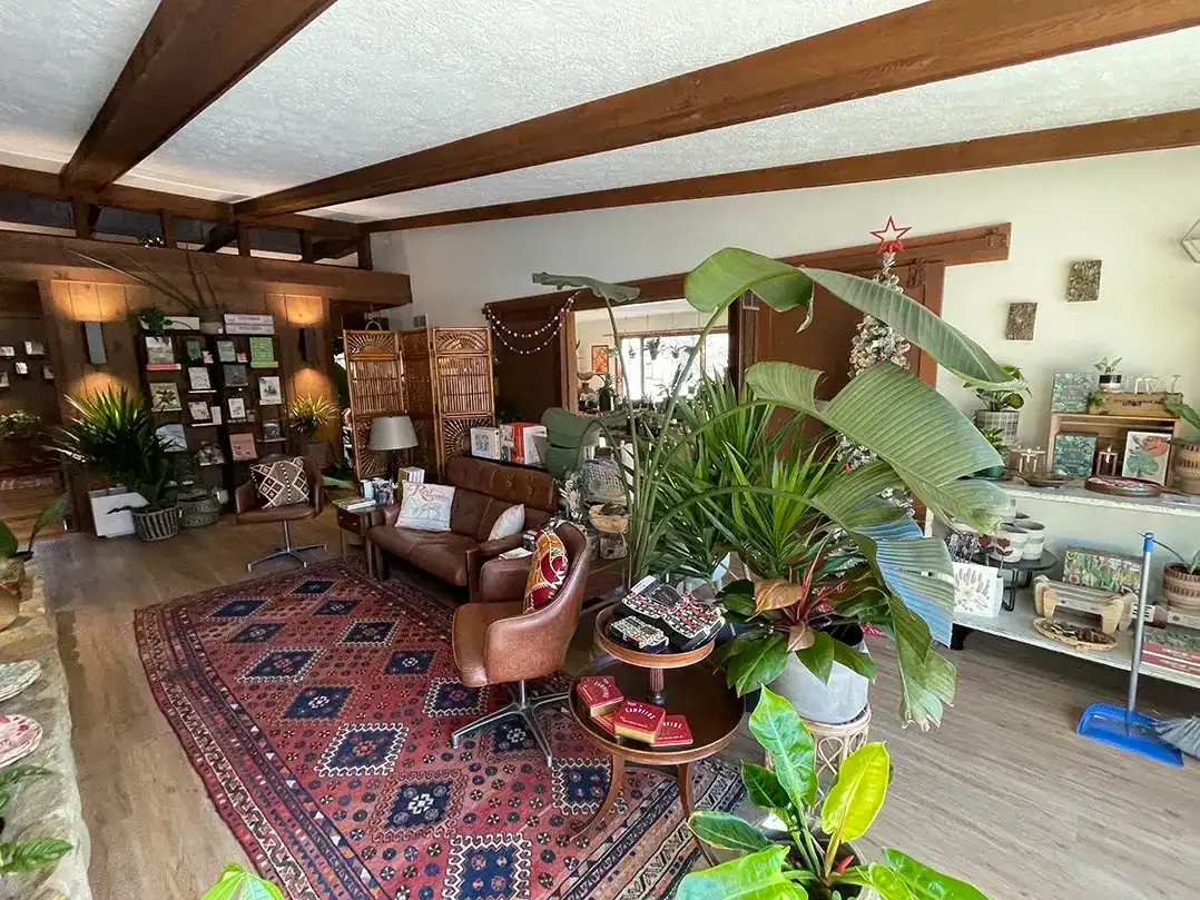 Cozy living room with plants, books, and vintage furniture. Warm, inviting atmosphere.